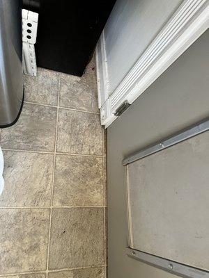 Sunflower Maid Service Overland Park