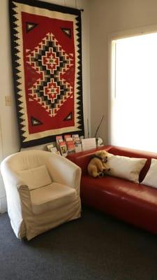 Saguaro Clinic Acupuncture Plus