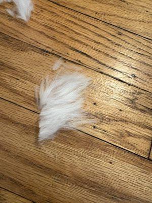 Kriser's Natural Pet