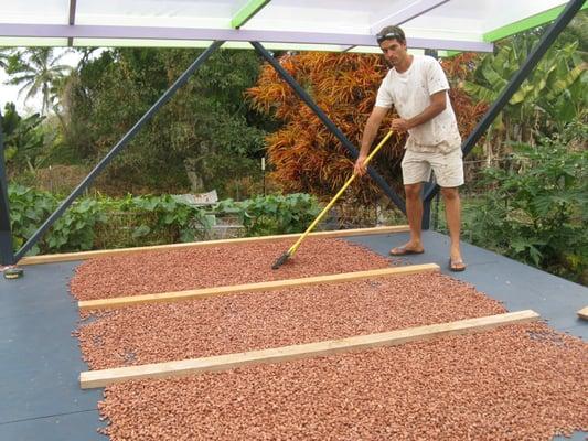 Kona Origins Chocolate