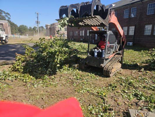 Harris Lawn & Ground Maintenance