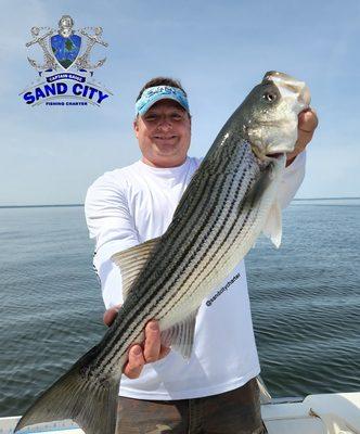 Sand City Charter