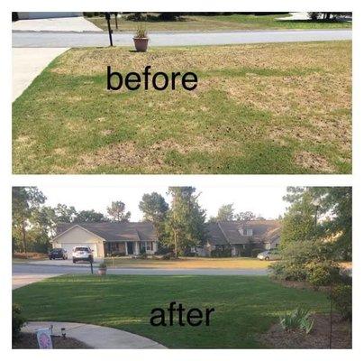 W9Y Cleaning Solutions