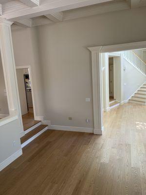 The Moulding Company