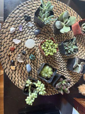 The Philadelphia Flower Market