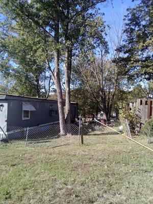 Walk Right Step Light Rest Easy Landscaping and Tree Work