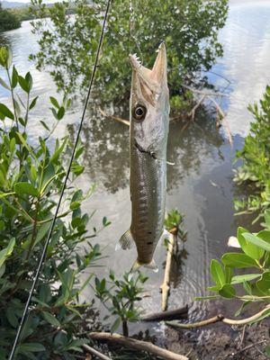 West Loch Shoreline Park