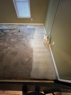 Majestic Maintenance