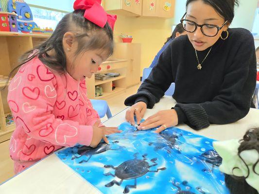 OC Kids Preschool & Kindergarten