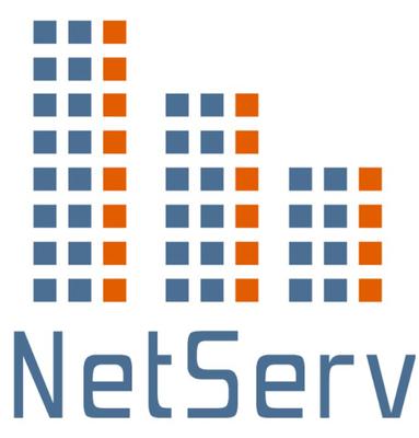 NetServ Solutions