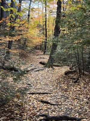 Lye Brook Falls Trail