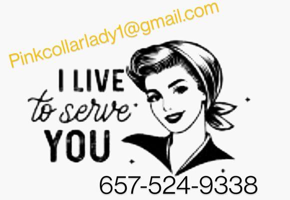 Pink Collar Lady Home Detailing