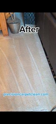 Precision Carpet Clean