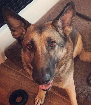 Hope Veterinary Clinic West