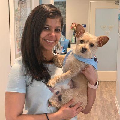 Lamorinda Tooth Buds