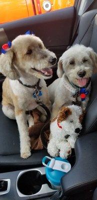 They look and feel amazing!