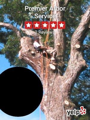 Premier Arbor Services