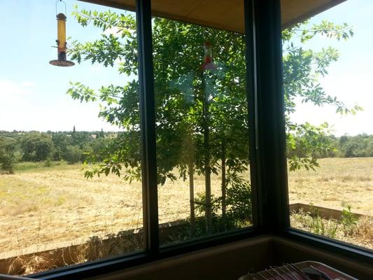 Beautiful view from the treatment room. Very peaceful.