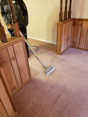 Ace Carpet and Upholstery Care