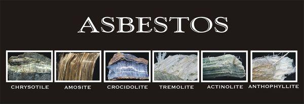 Asbestos is an umbrella term used to describe six different naturally occurring minerals that are carcinogenic to humans.
