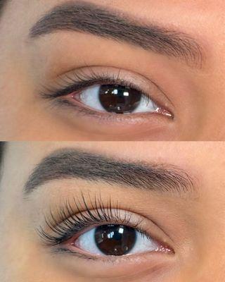 The Esthetic Journey