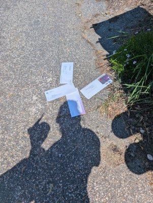 This is how people's mail is left everyday constantly I've lost a lot of checks because of this guy