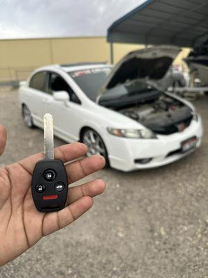 Wolf Locksmith Solutions