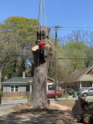 Prime Arbor Tree Specialists