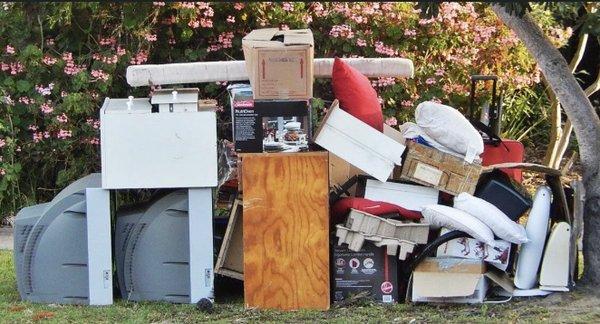 The Local Spring Clean Up