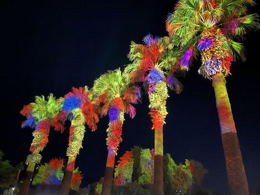 McCallum Theatre For the Performing Arts