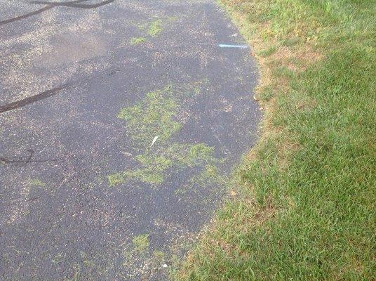 Duke's Landscape Management