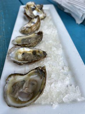Half Order Local Oysters: Sticky Bottoms