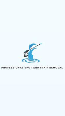 Professional Spot and Stain Removal