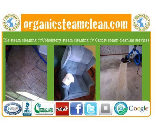 Organic Steam Carpet Clean