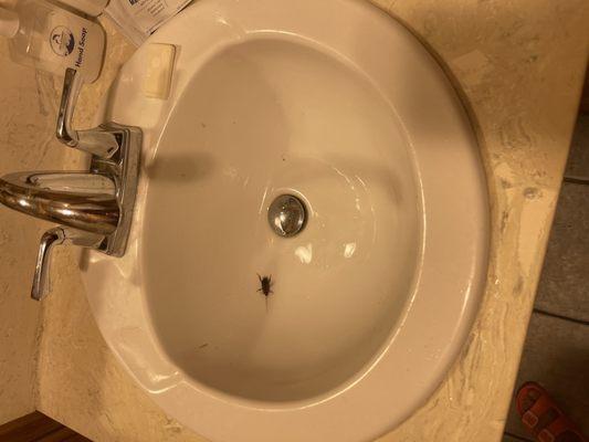 Island Retreat Condominiums