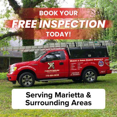 Xceptional Wildlife Removal