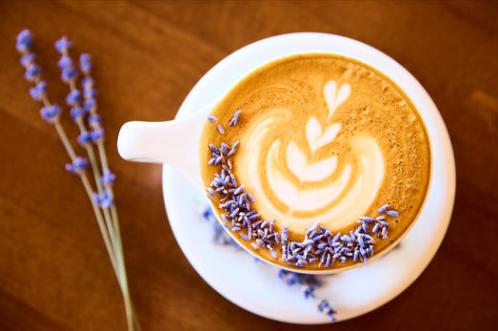 Black Oak Coffee Roasters