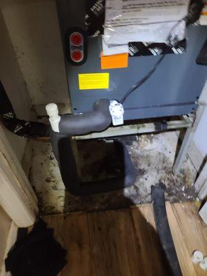 Momentum AC & Electric