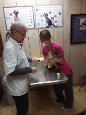 William D Jaxheimer Suburban Vet Hosp PC