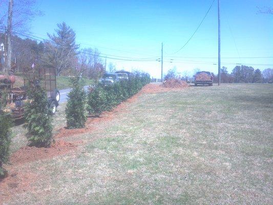 Prillaman Landscape Dimensions