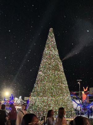 Beautiful tree and they were spraying "snow" out.