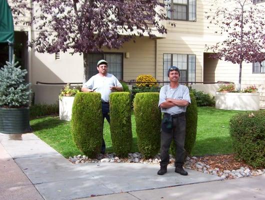 LawnTech Enterprises
