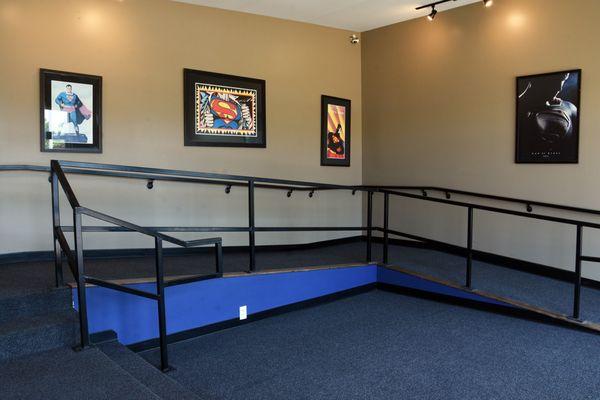 SuperBowl Metropolis