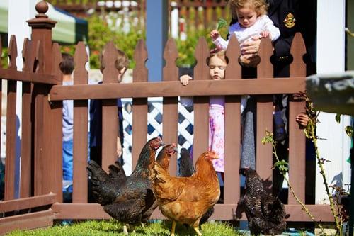 Happy Time Nursery School