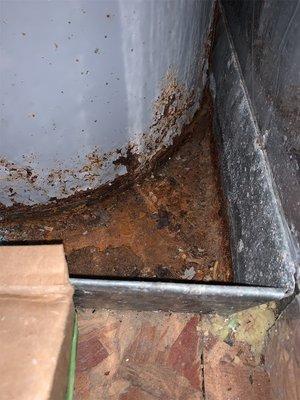 Rusted electric hot water tank