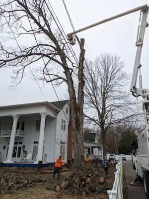 Barker's Tree Service & Stump Grinding