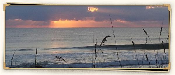 Penny Arnold Counseling