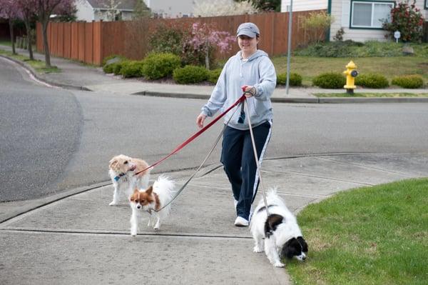 Kristina's Critter Care