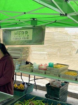 HERR Family Farm at the Outer Sunset Famers Market San Francisco