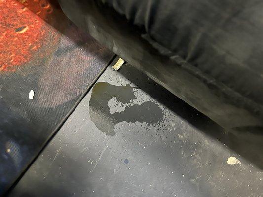 I had to clean the floor of cat urine. Carpet was also peed on. They tried to clean sofa but they delayed a week so it did not work.